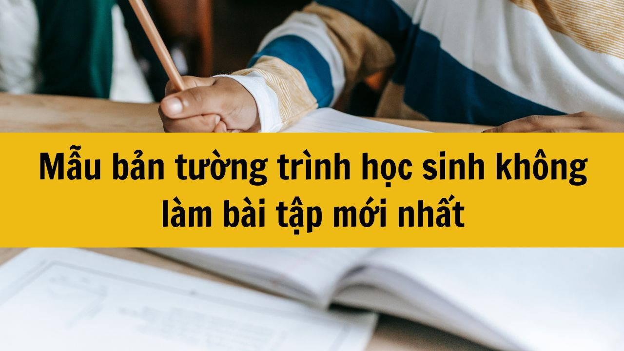 Mẫu bản tường tr&igrave;nh học sinh kh&ocirc;ng l&agrave;m b&agrave;i tập mới nhất 2025