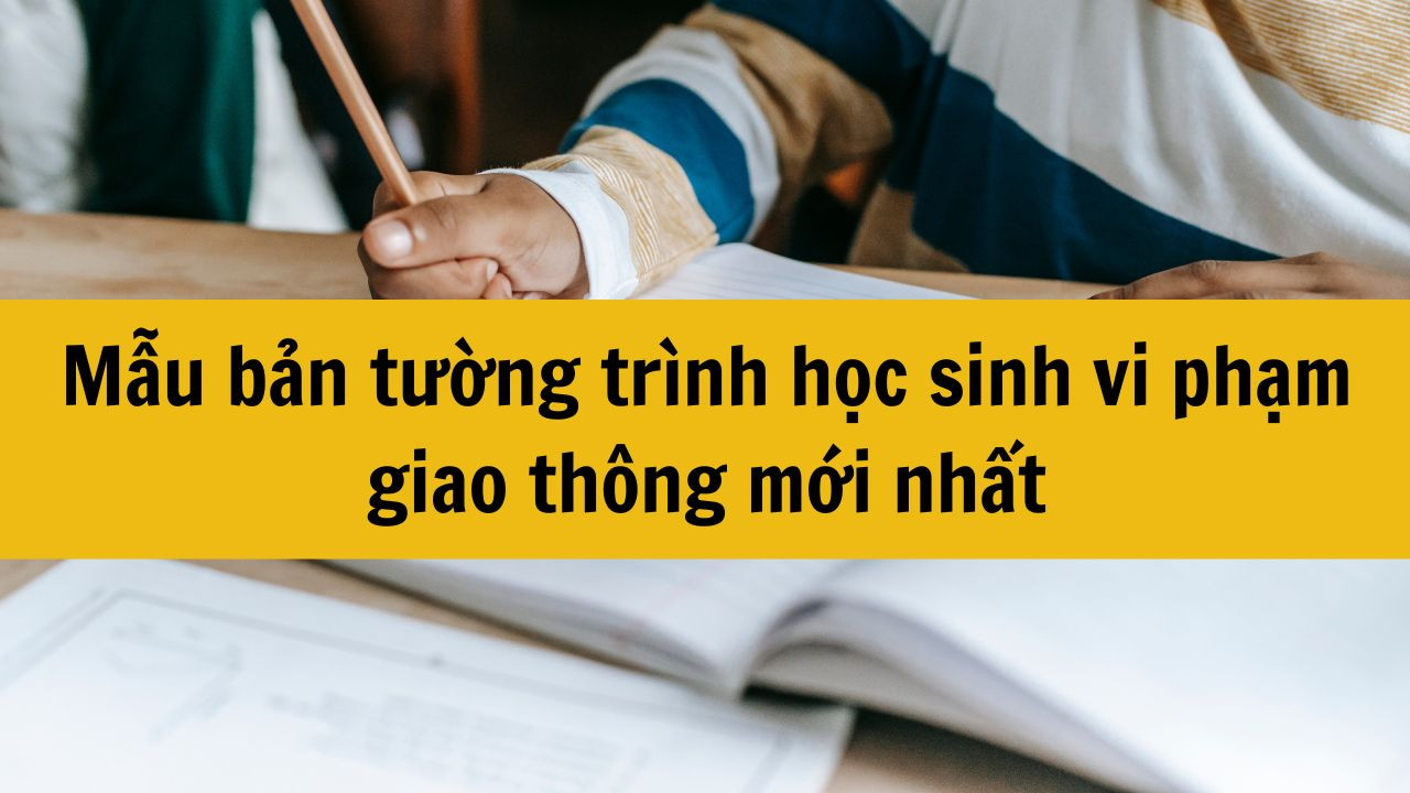 Mẫu bản tường tr&igrave;nh học sinh vi phạm giao th&ocirc;ng mới nhất 2025