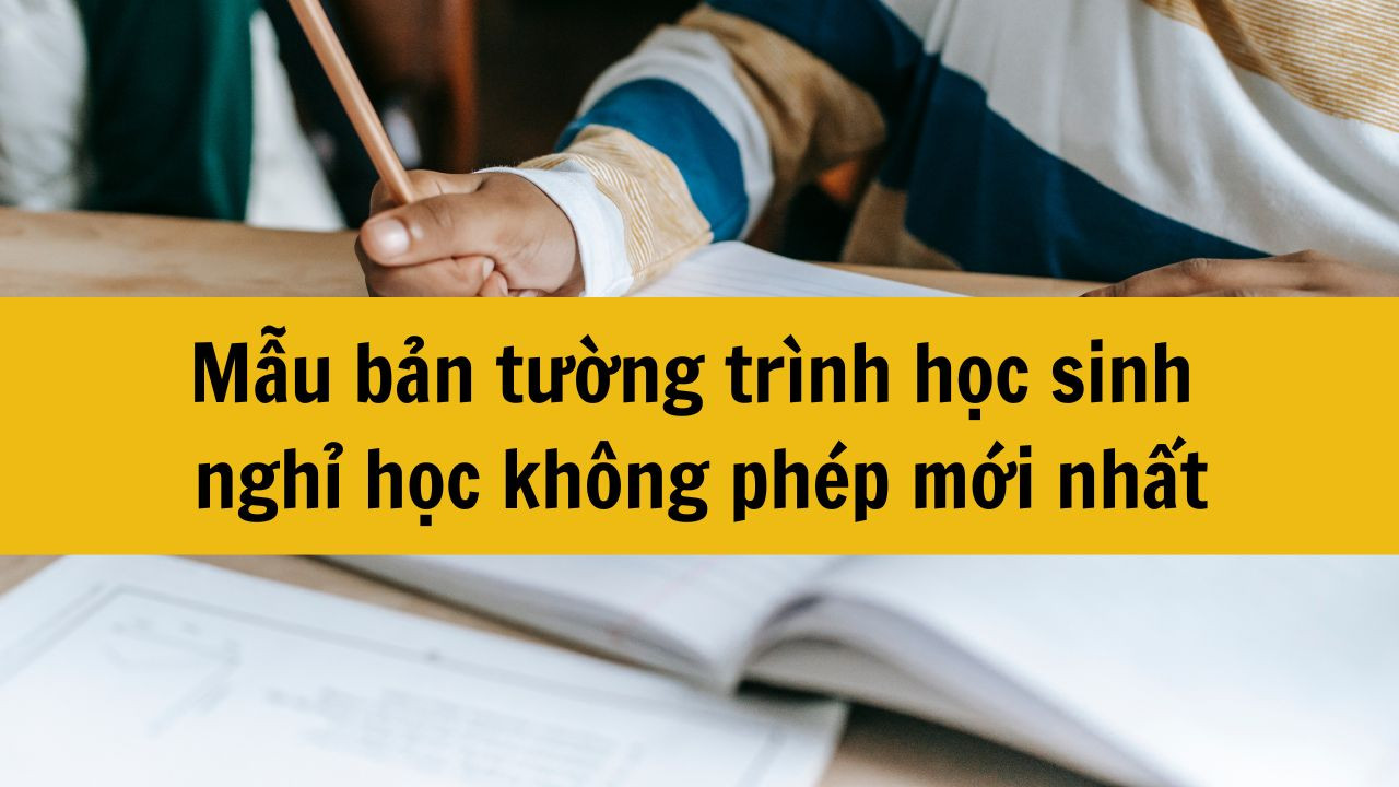 Mẫu bản tường tr&igrave;nh học sinh nghỉ học kh&ocirc;ng ph&eacute;p mới nhất 2025