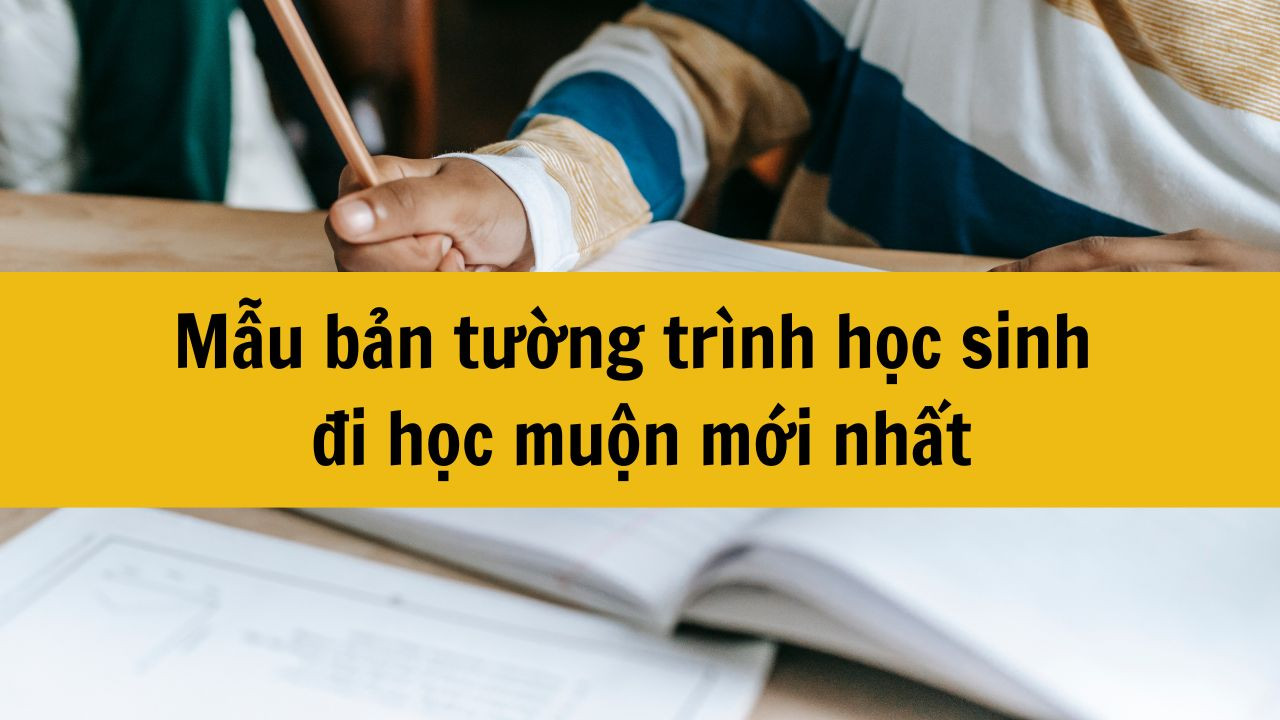 Mẫu bản tường tr&igrave;nh học sinh đi học muộn mới nhất 2025