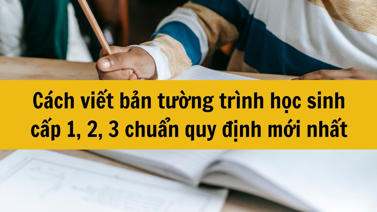 C&aacute;ch viết bản tường tr&igrave;nh học sinh cấp 1, 2, 3 chuẩn quy định mới nhất 2025