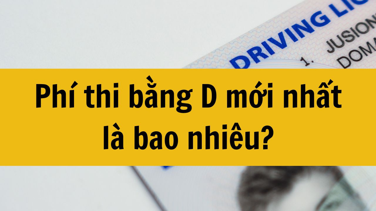Ph&iacute; thi bằng D mới nhất 2025 l&agrave; bao nhi&ecirc;u?
