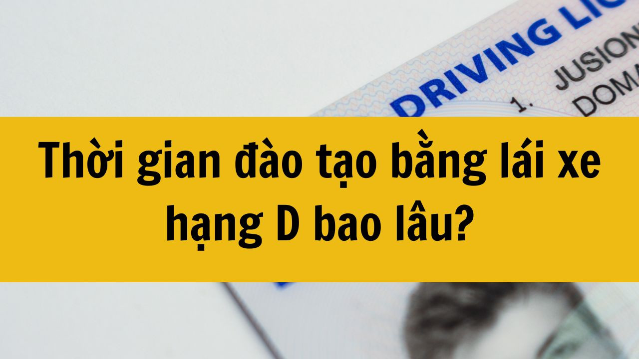Thời gian đ&agrave;o tạo bằng l&aacute;i xe hạng D bao l&acirc;u mới nhất 2025?