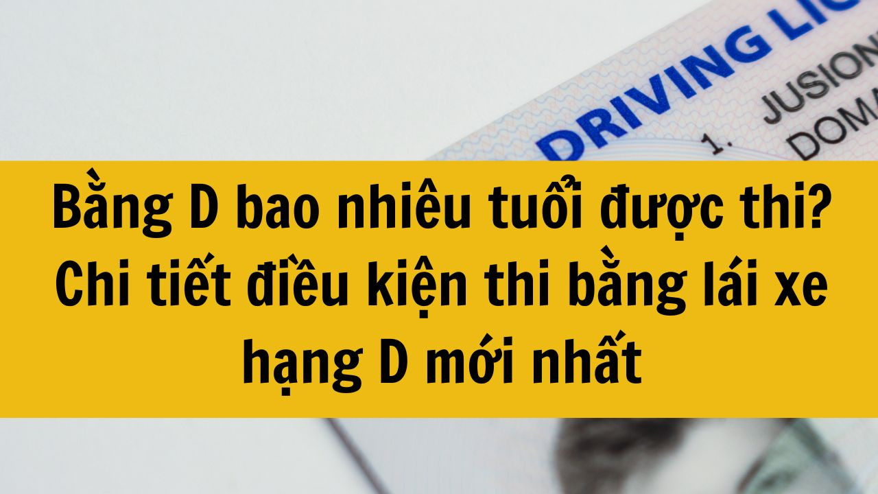 Bằng D bao nhi&ecirc;u tuổi được thi? Chi tiết điều kiện thi bằng l&aacute;i xe hạng D mới nhất 2025