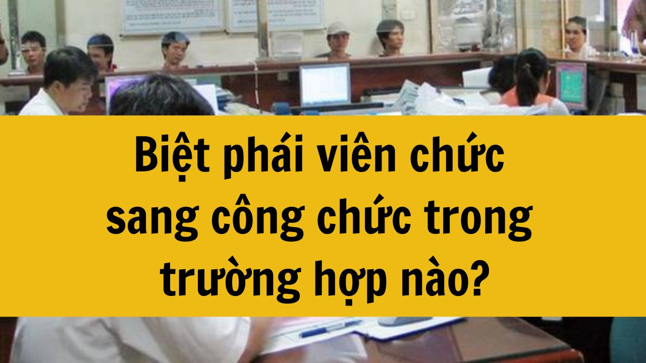 Biệt ph&aacute;i vi&ecirc;n chức sang c&ocirc;ng chức trong trường hợp n&agrave;o?