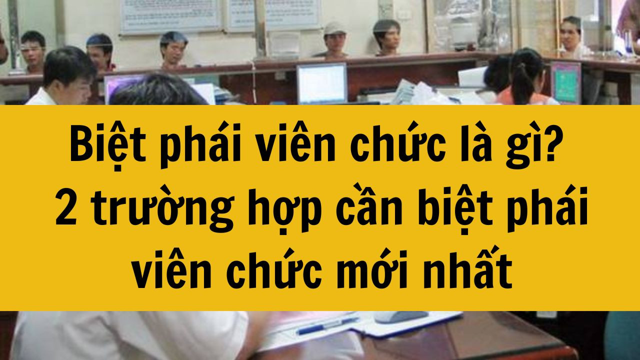 Biệt ph&aacute;i vi&ecirc;n chức l&agrave; g&igrave;? 2 trường hợp cần biệt ph&aacute;i vi&ecirc;n chức mới nhất 2025?