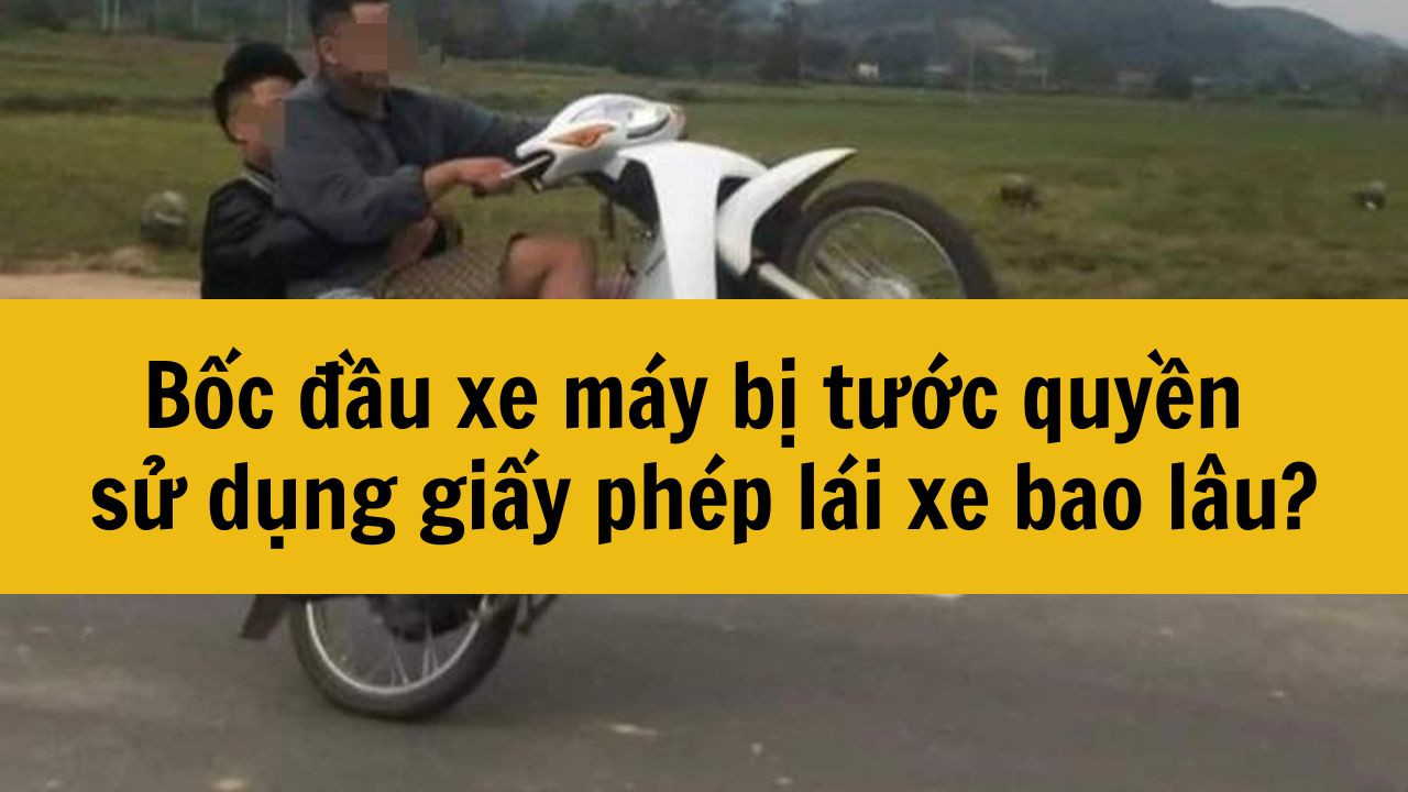 Bốc đầu xe m&aacute;y bị tước quyền sử dụng giấy ph&eacute;p l&aacute;i xe bao l&acirc;u?
