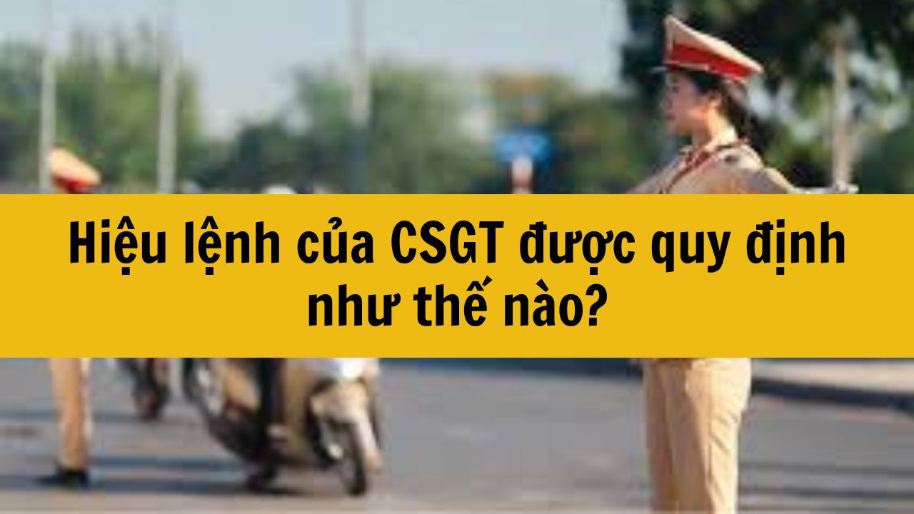 Hiệu lệnh của CSGT được quy định như thế n&agrave;o?