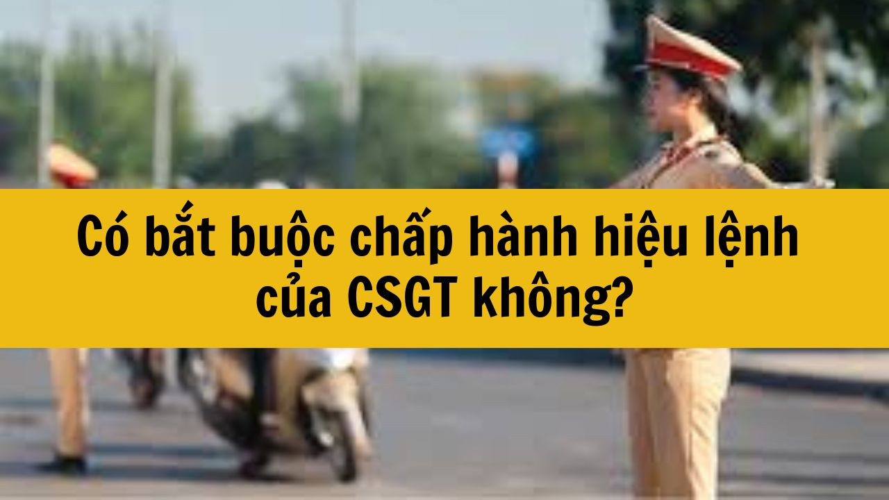 C&oacute; bắt buộc chấp h&agrave;nh hiệu lệnh của CSGT kh&ocirc;ng?