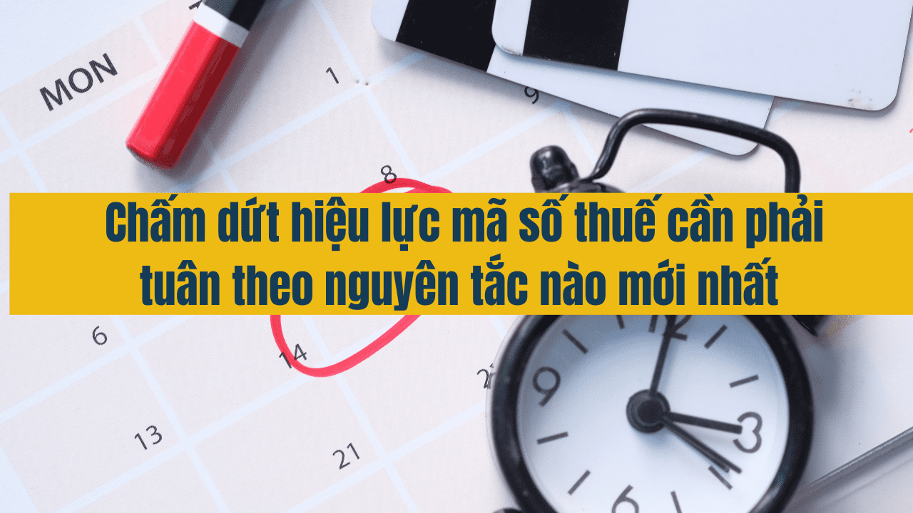 Chấm dứt hiệu lực m&atilde; số thuế phải tu&acirc;n thủ theo những nguy&ecirc;n tắc n&agrave;o mới nhất năm 2025 