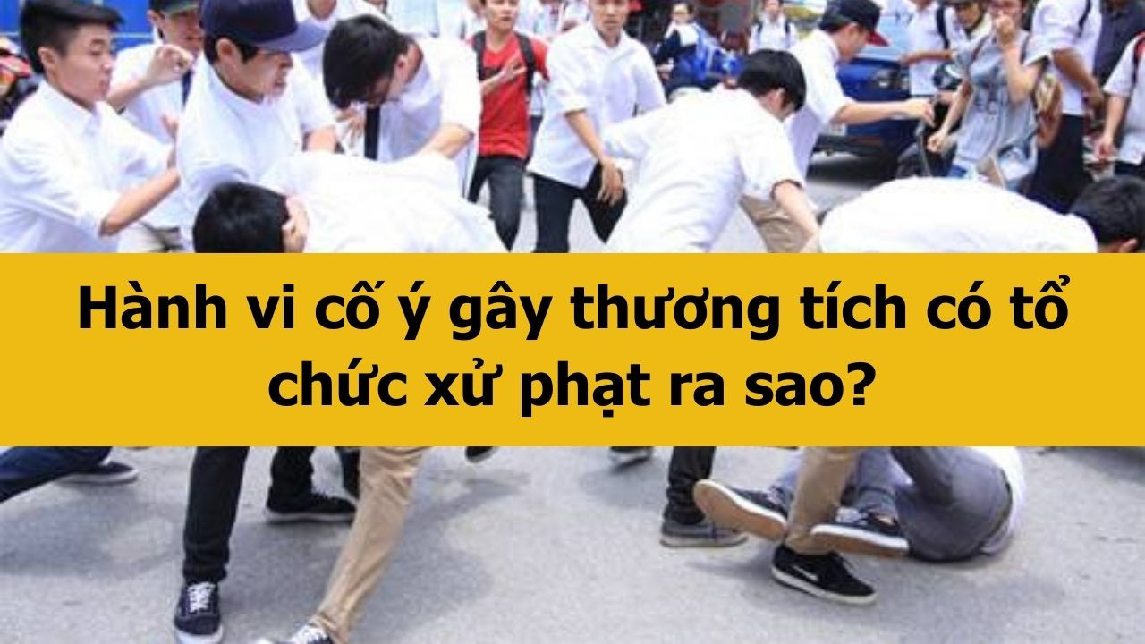 H&agrave;nh vi cố &yacute; g&acirc;y thương t&iacute;ch c&oacute; tổ chức xử phạt ra sao mới nhất 2025?