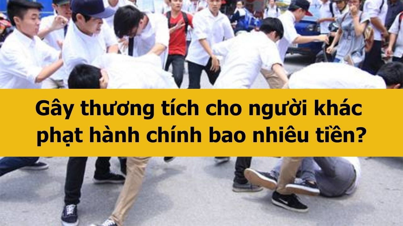 G&acirc;y thương t&iacute;ch cho người kh&aacute;c phạt h&agrave;nh ch&iacute;nh bao nhi&ecirc;u tiền?