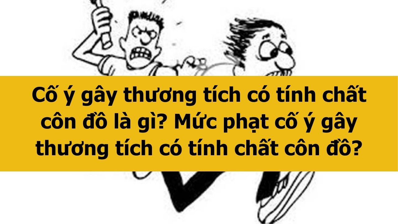 Cố &yacute; g&acirc;y thương t&iacute;ch c&oacute; t&iacute;nh chất c&ocirc;n đồ l&agrave; g&igrave;? Mức phạt cố &yacute; g&acirc;y thương t&iacute;ch c&oacute; t&iacute;nh chất c&ocirc;n đồ ra sao?