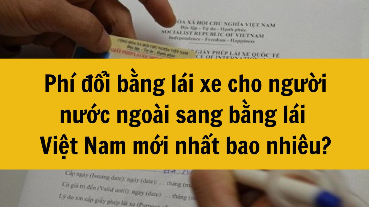 Ph&iacute; đổi bằng l&aacute;i xe cho người nước ngo&agrave;i sang bằng l&aacute;i Việt Nam mới nhất 2025 bao nhi&ecirc;u?