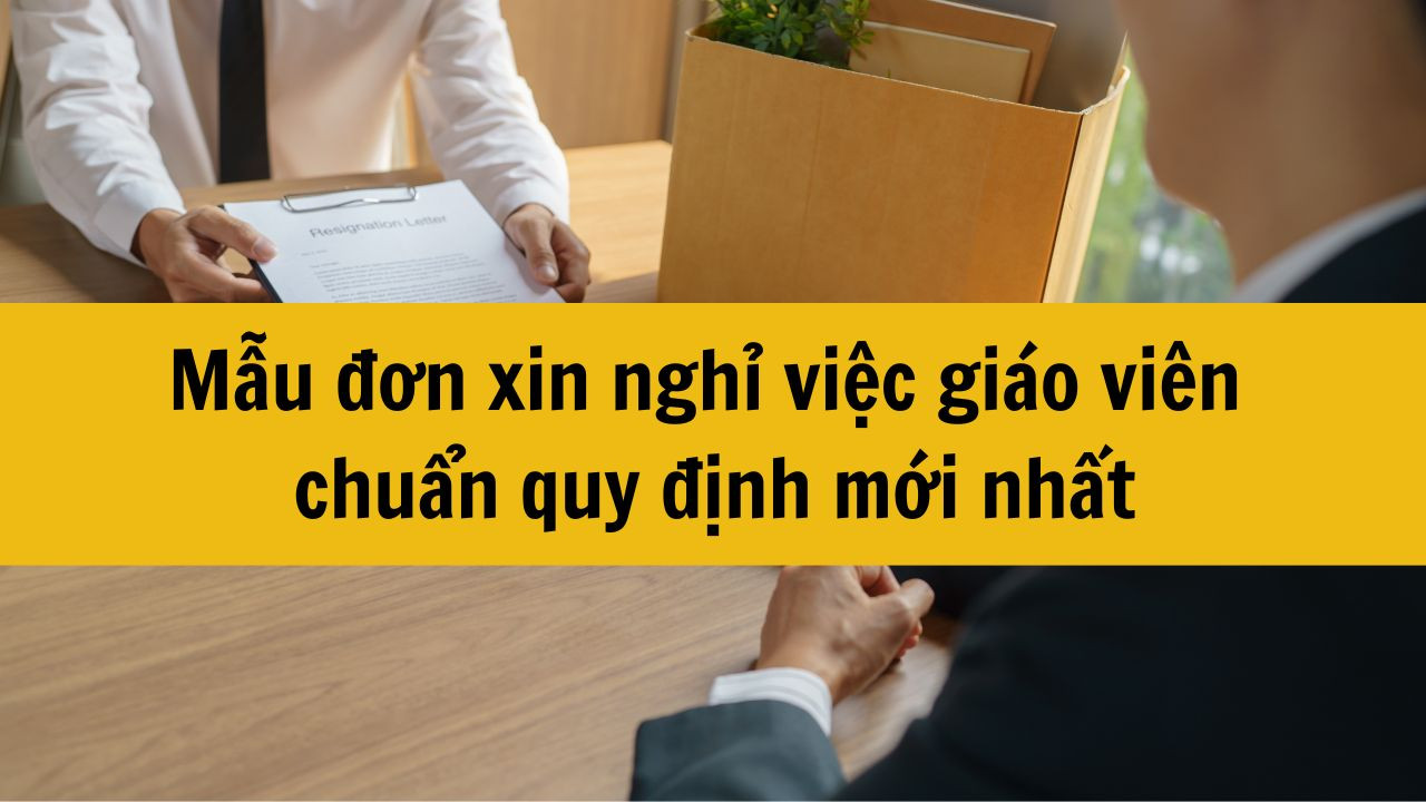 Mẫu đơn xin nghỉ việc gi&aacute;o vi&ecirc;n chuẩn quy định mới nhất 2025
