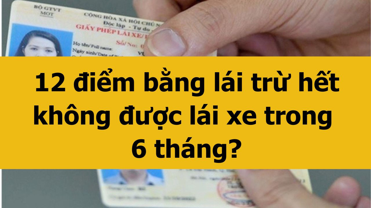 12 điểm bằng l&aacute;i trừ hết kh&ocirc;ng được l&aacute;i xe trong 6 th&aacute;ng mới nhất 2025?