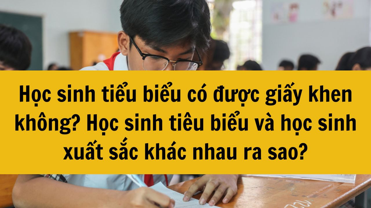 Học sinh tiểu biểu c&oacute; được giấy khen kh&ocirc;ng? Học sinh ti&ecirc;u biểu v&agrave; học sinh xuất sắc kh&aacute;c nhau ra sao?