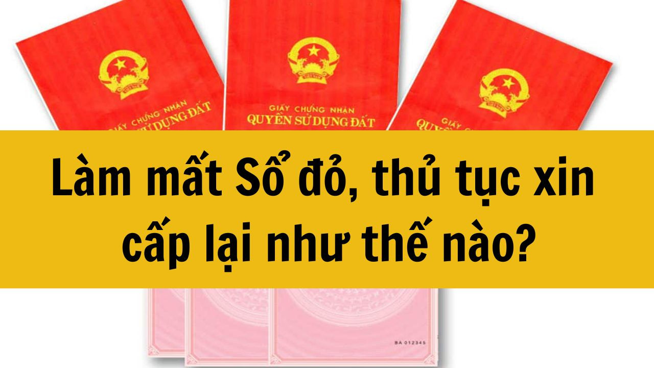 L&agrave;m mất Sổ đỏ, thủ tục xin cấp lại như thế n&agrave;o mới nhất 2025?