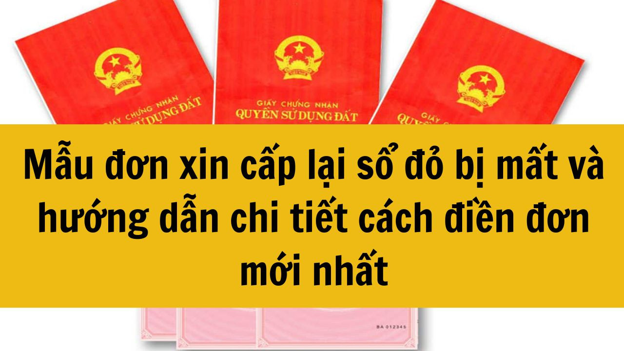 Mẫu đơn xin cấp lại sổ đỏ bị mất v&agrave; hướng dẫn chi tiết c&aacute;ch điền đơn mới nhất 2025
