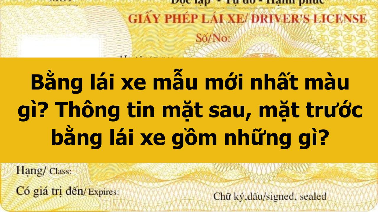 Bằng l&aacute;i xe mẫu mới nhất 2025 m&agrave;u g&igrave;? Th&ocirc;ng tin mặt sau, mặt trước bằng l&aacute;i xe gồm những g&igrave;?