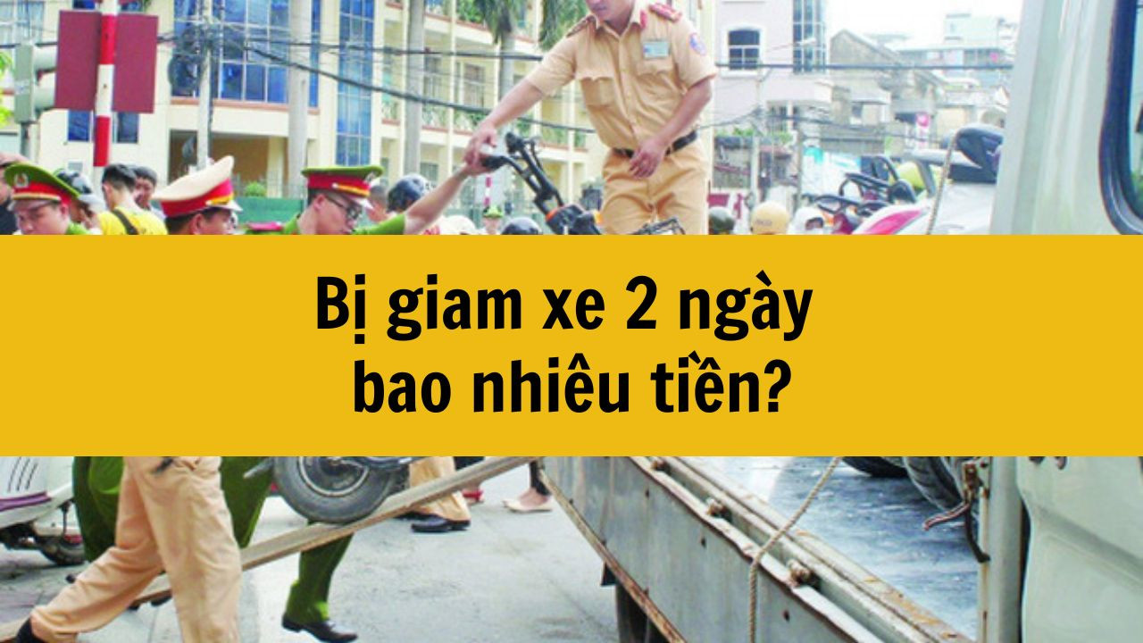 Bị giam xe 2 ng&agrave;y bao nhi&ecirc;u tiền mới nhất 2025?