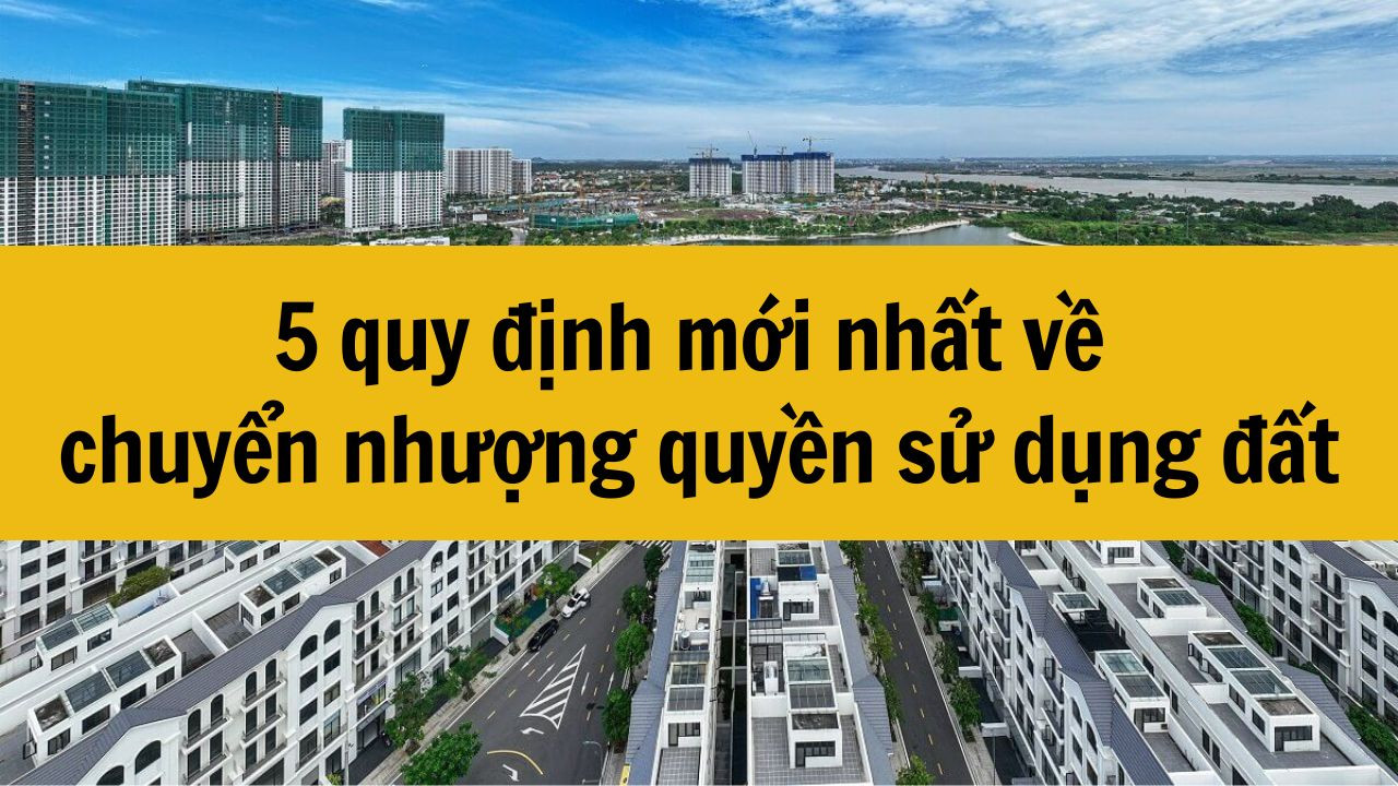 5 quy định mới nhất 2025 về chuyển nhượng quyền sử dụng đất