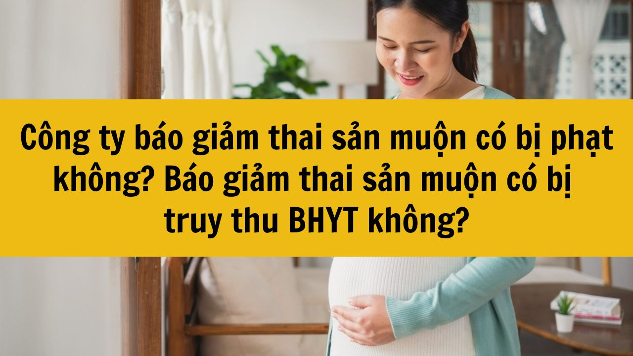 Công ty báo giảm thai sản muộn có bị phạt không? Báo giảm thai sản muộn có bị truy thu BHYT không?