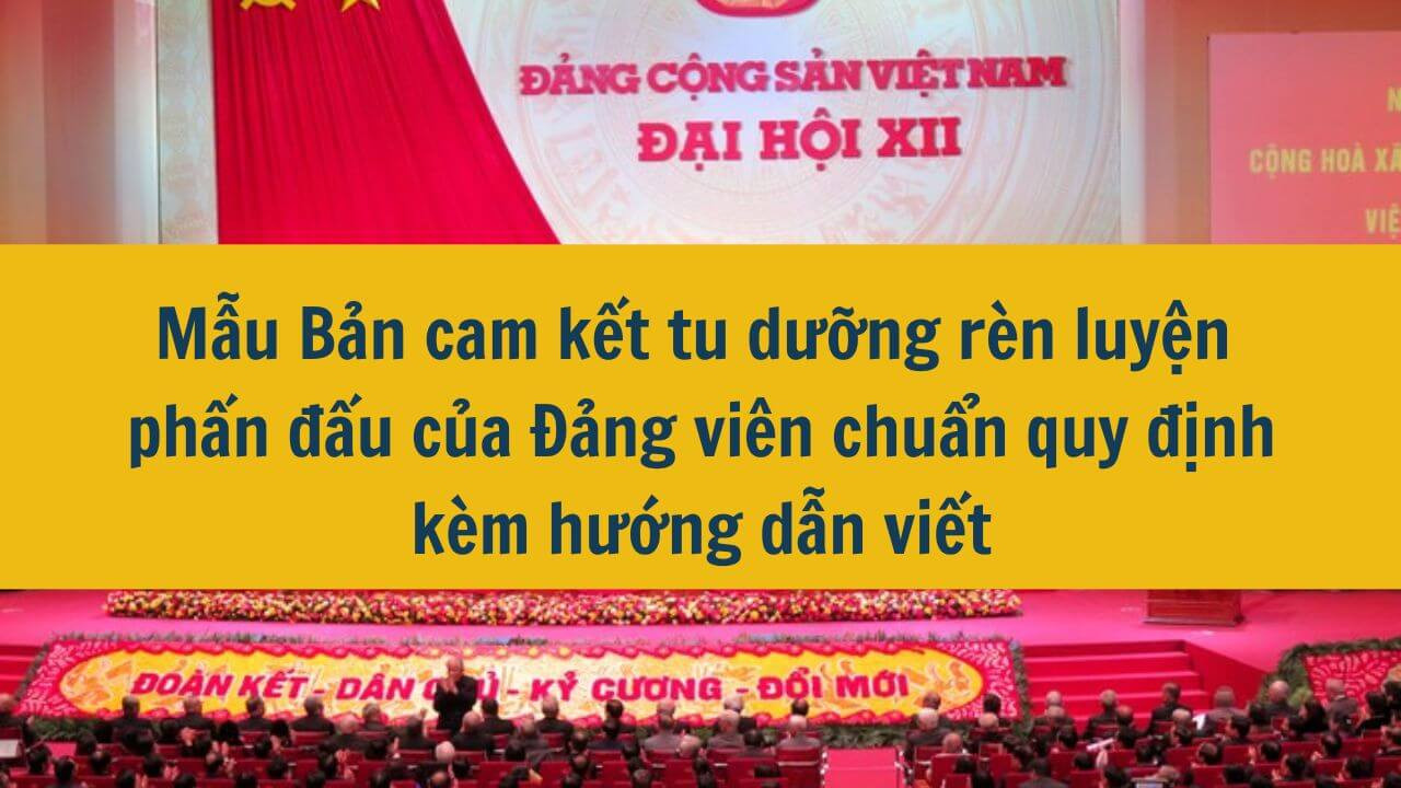 Mẫu Bản cam kết tu dưỡng rèn luyện phấn đấu của Đảng viên năm 2024 chuẩn quy định kèm hướng dẫn viết