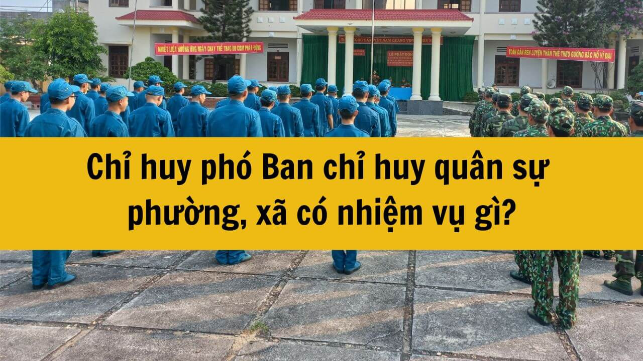 Chỉ huy phó Ban chỉ huy quân sự phường, xã có nhiệm vụ gì?