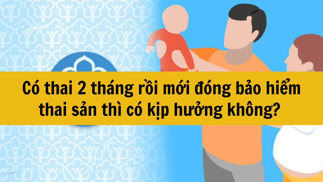 Có thai 2 tháng rồi mới đóng bảo hiểm thai sản thì có kịp hưởng không? 