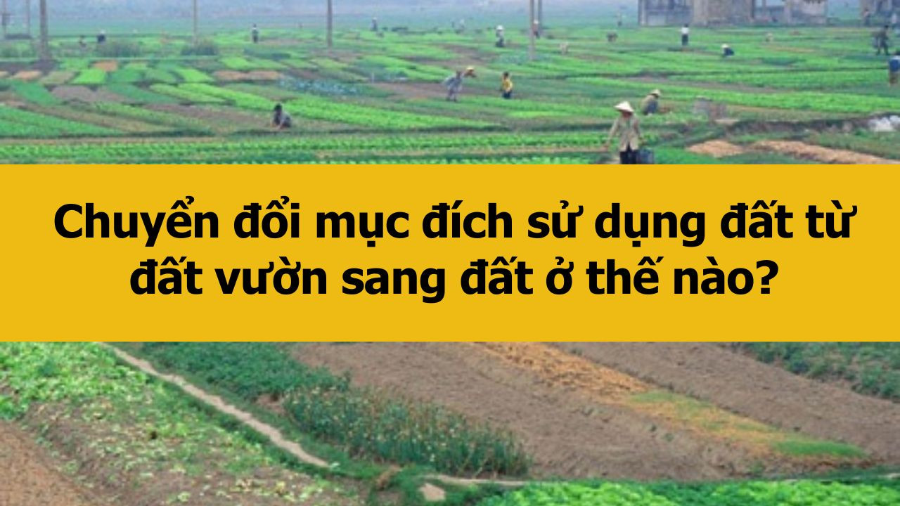 Chuyển đổi mục đích sử dụng đất từ đất vườn sang đất ở thế nào?