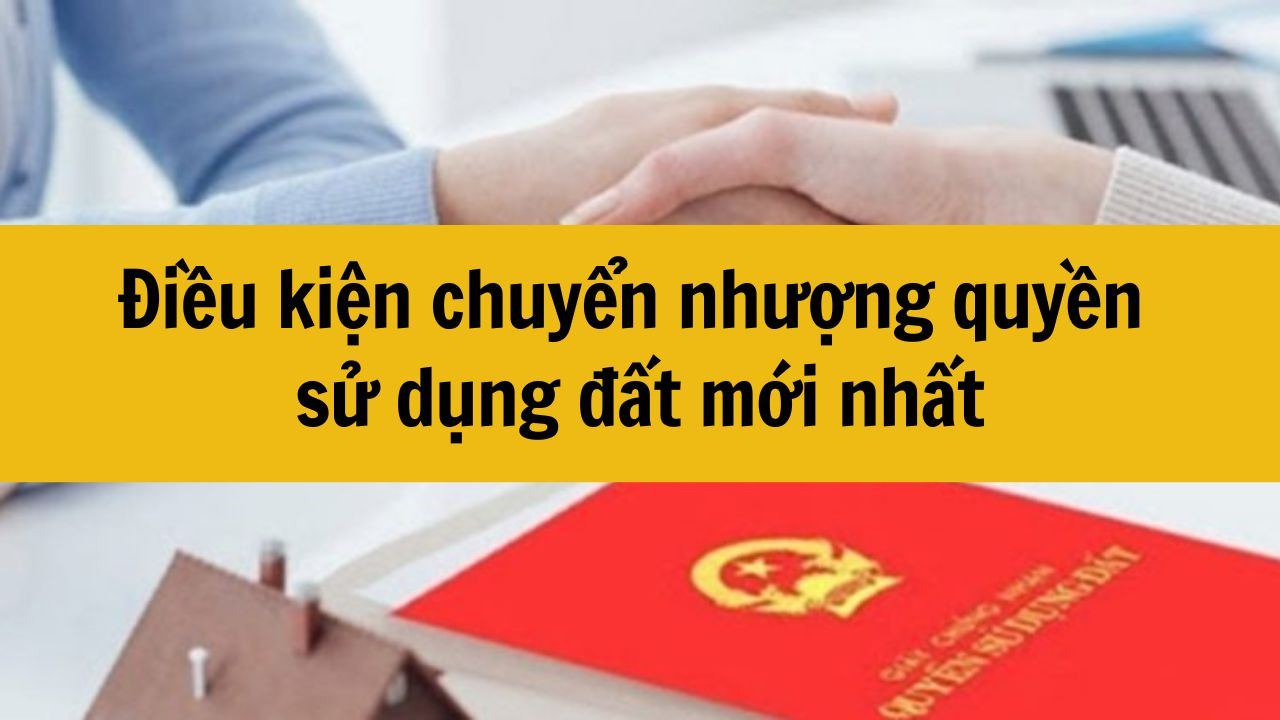 Điều kiện chuyển nhượng quyền sử dụng đất mới nhất 2025