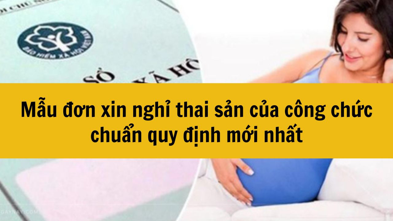 Mẫu đơn xin nghỉ thai sản của công chức chuẩn quy định mới nhất 2025