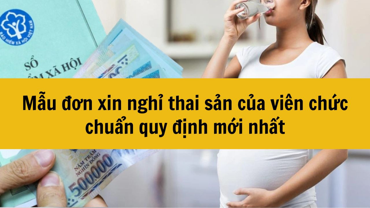 Mẫu đơn xin nghỉ thai sản của viên chức chuẩn quy định mới nhất 2025