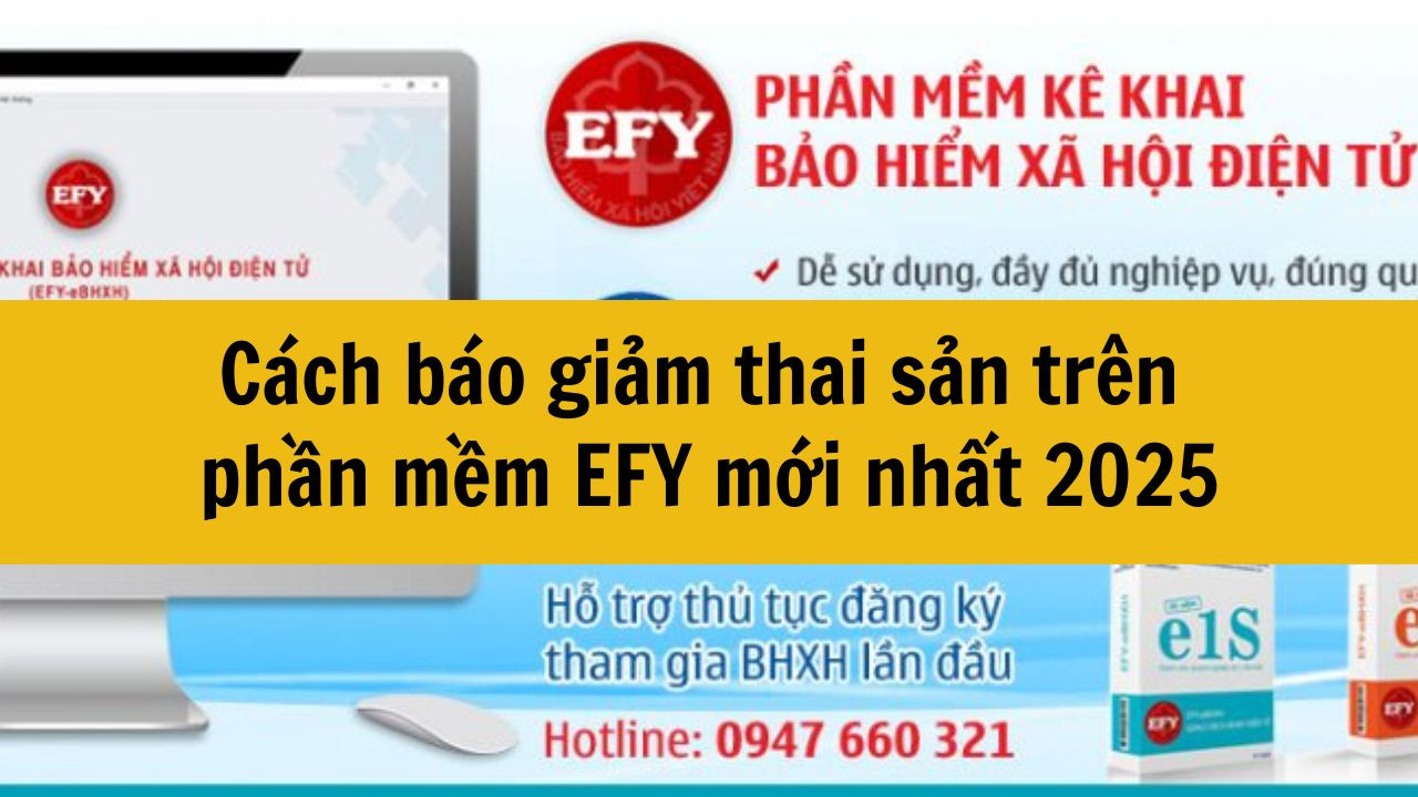 Cách báo giảm thai sản trên phần mềm EFY mới nhất 2025