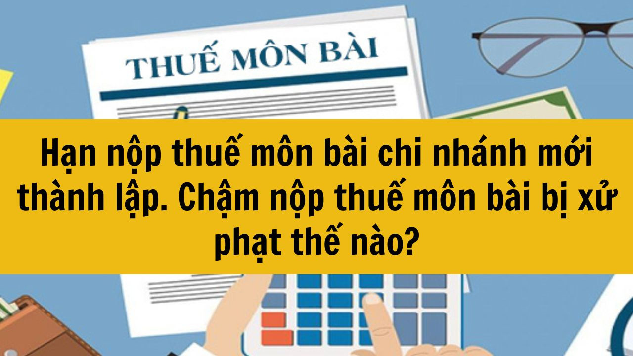 Hạn nộp thuế môn bài chi nhánh mới thành lập. Chậm nộp thuế môn bài bị xử phạt thế nào?