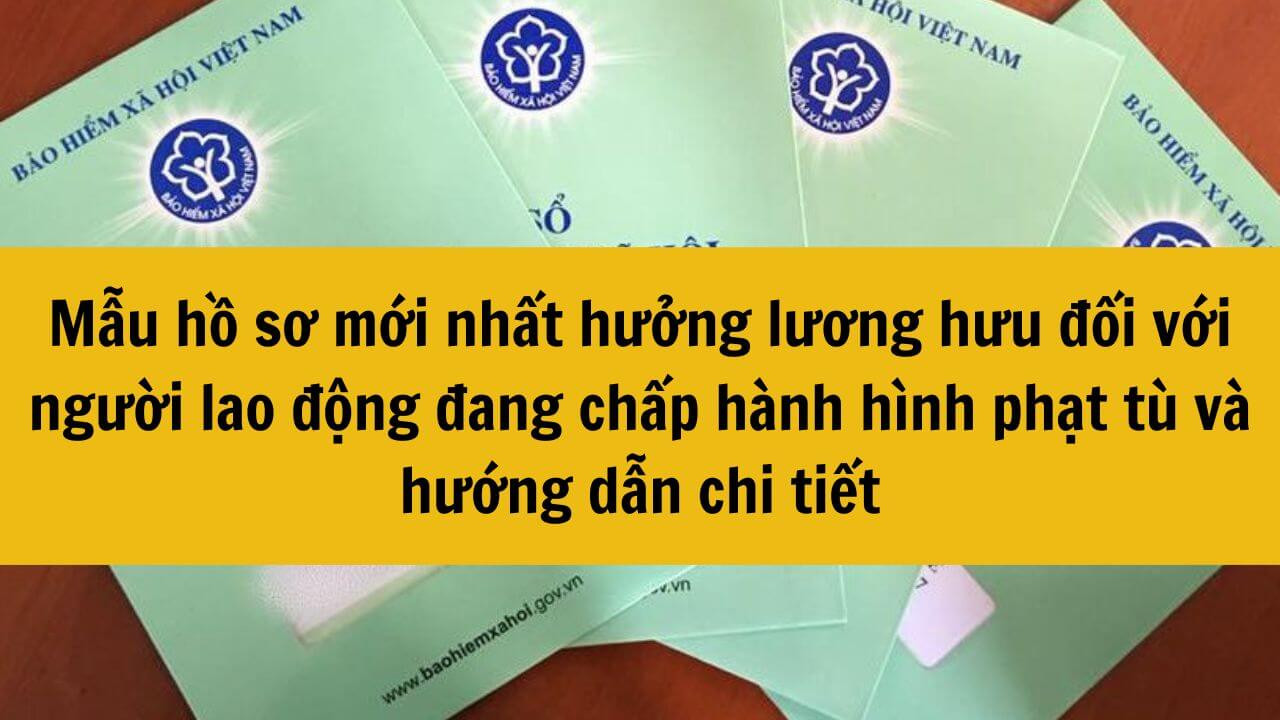 Mẫu hồ sơ mới nhất 2025 hưởng lương hưu đối với người lao động đang chấp hành hình phạt tù và hướng dẫn chi tiết