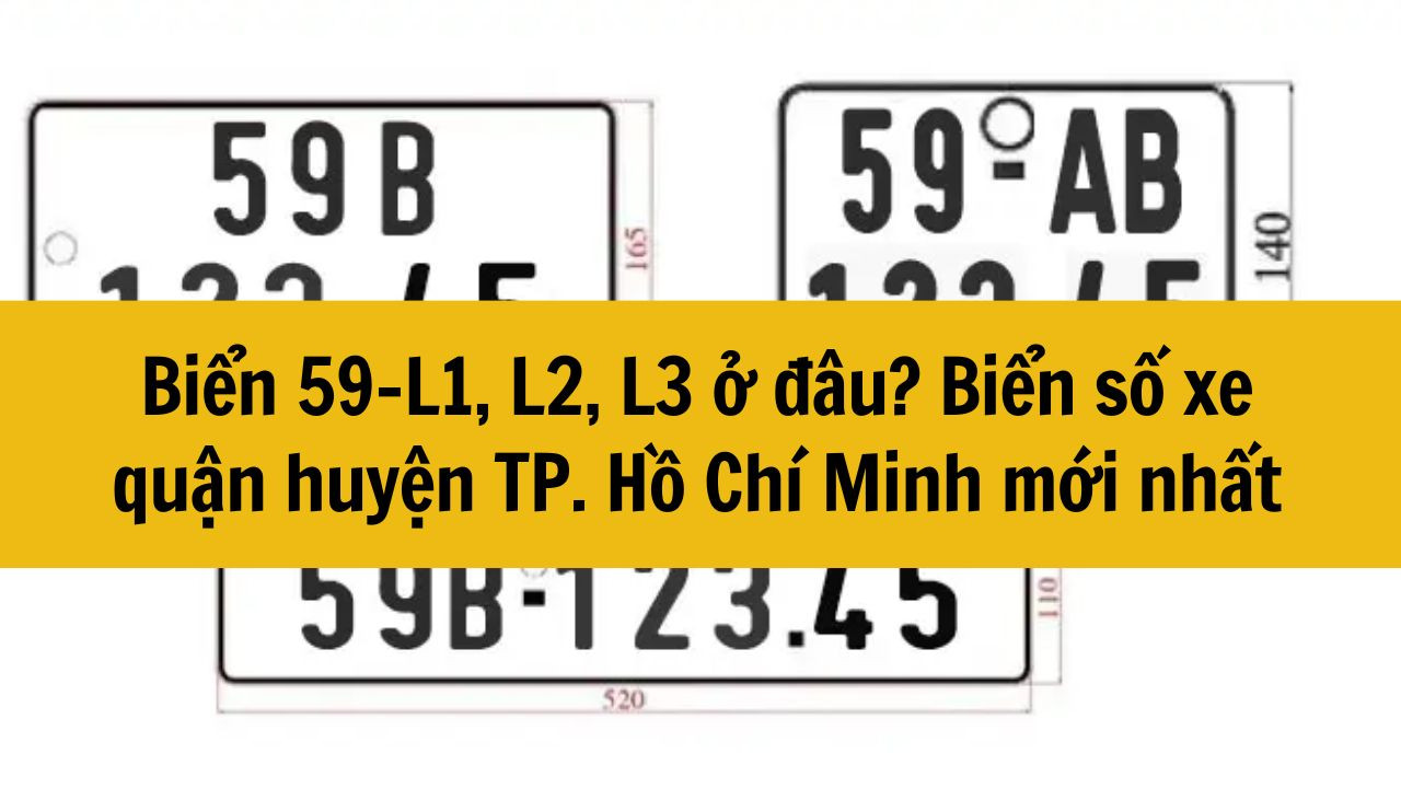 Biển 59-L1, L2, L3 ở đâu? Biển số xe quận huyện TP. Hồ Chí Minh mới nhất 2025