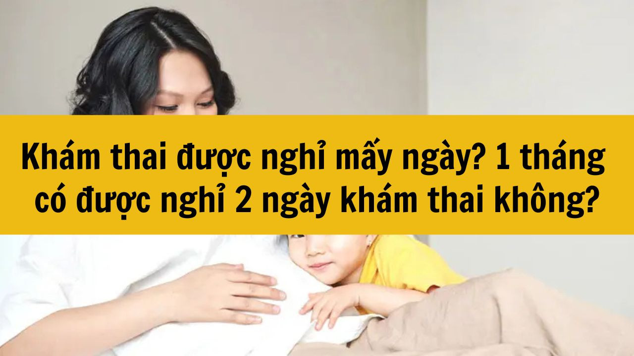 Khám thai được nghỉ mấy ngày? 1 tháng có được nghỉ 2 ngày khám thai không?