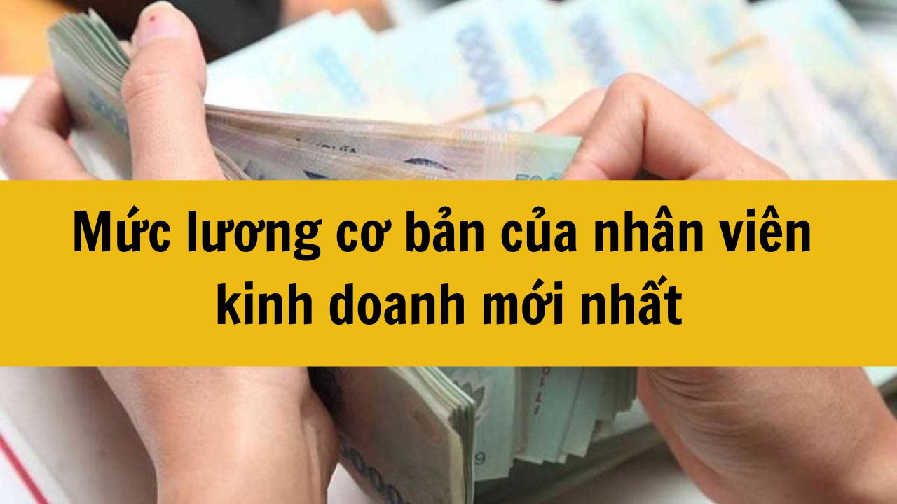 Mức lương cơ bản của nhân viên kinh doanh mới nhất 2025