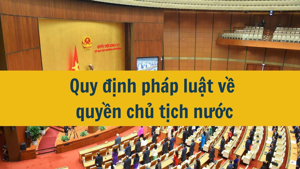 Quy định pháp luật về quyền chủ tịch nước năm 2024