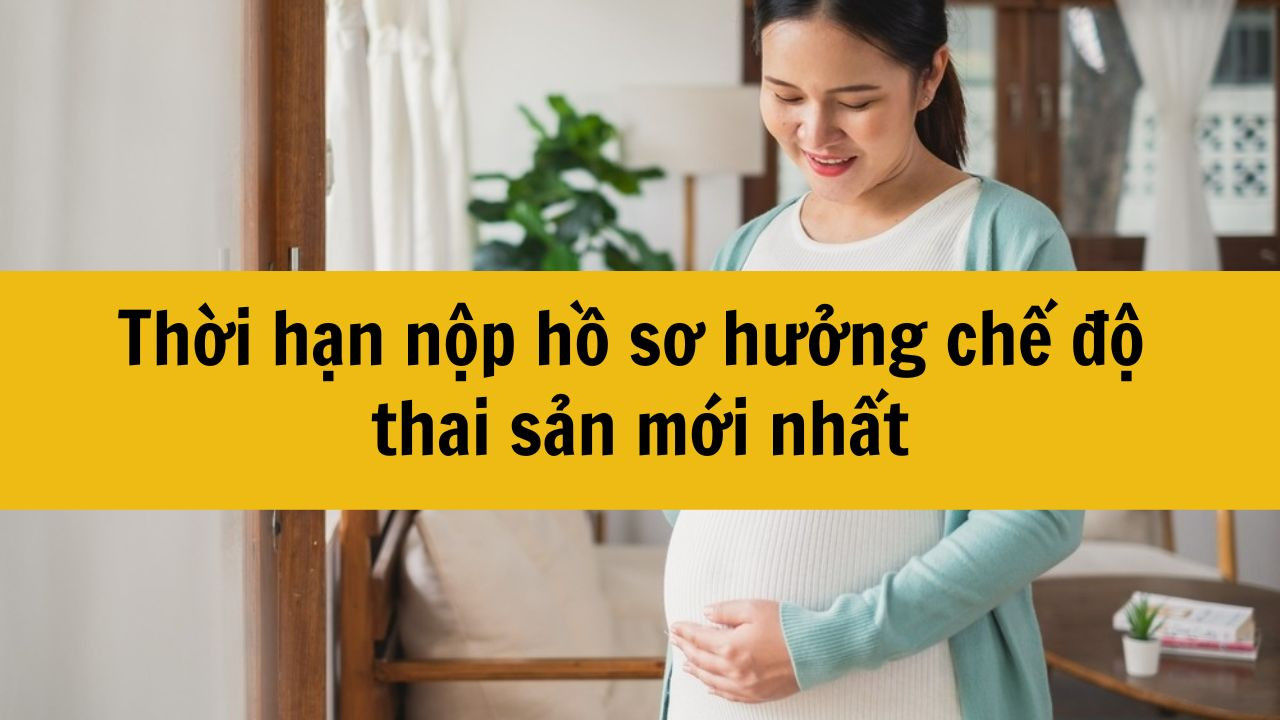 Thời hạn nộp hồ sơ hưởng chế độ thai sản mới nhất 2025