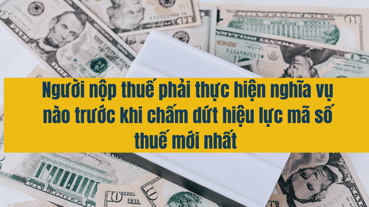 Người nộp thuế phải thực hiện nghĩa vụ trước khi chấm dứt hiệu lực m&atilde; số thuế 2025