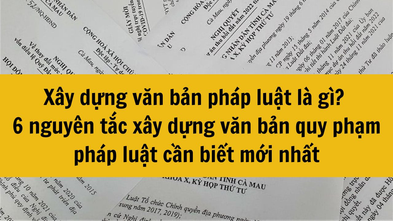 X&acirc;y dựng văn bản ph&aacute;p luật l&agrave; g&igrave;? 6 nguy&ecirc;n tắc x&acirc;y dựng văn bản quy phạm ph&aacute;p luật cần biết mới nhất 2025