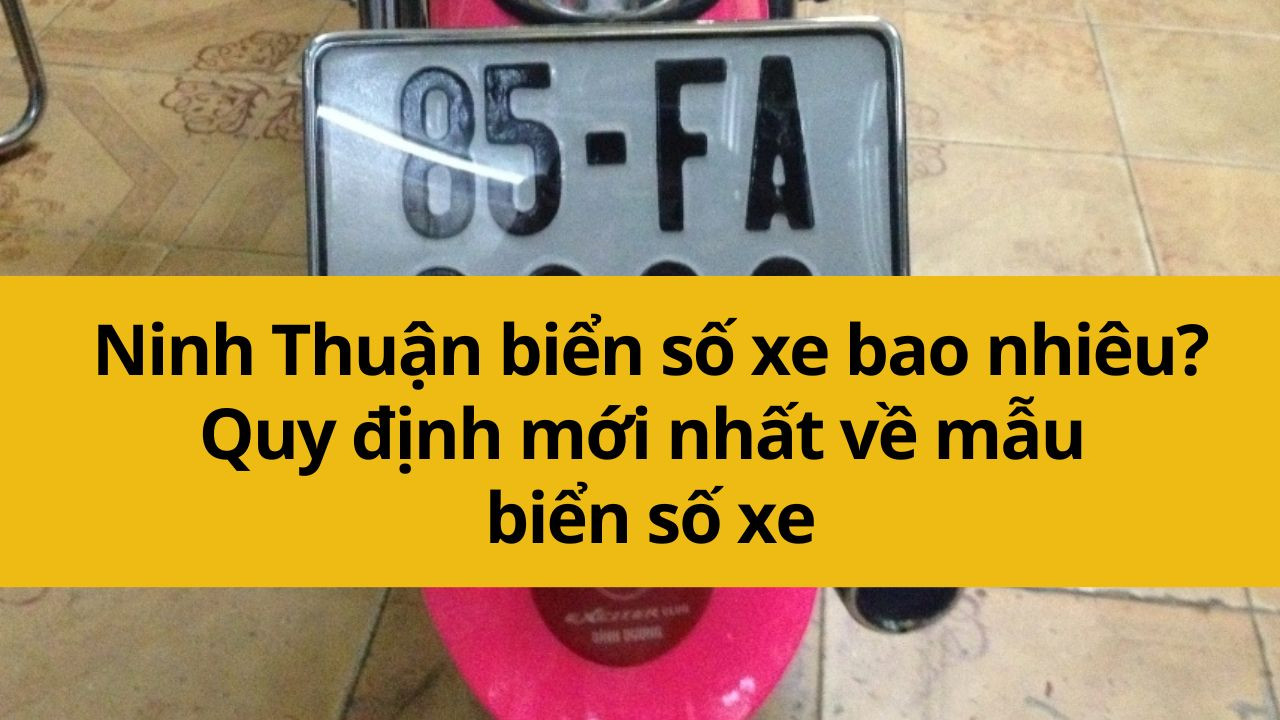 Ninh Thuận biển số xe bao nhi&ecirc;u? Quy định mới nhất 2025 về mẫu biển số xe