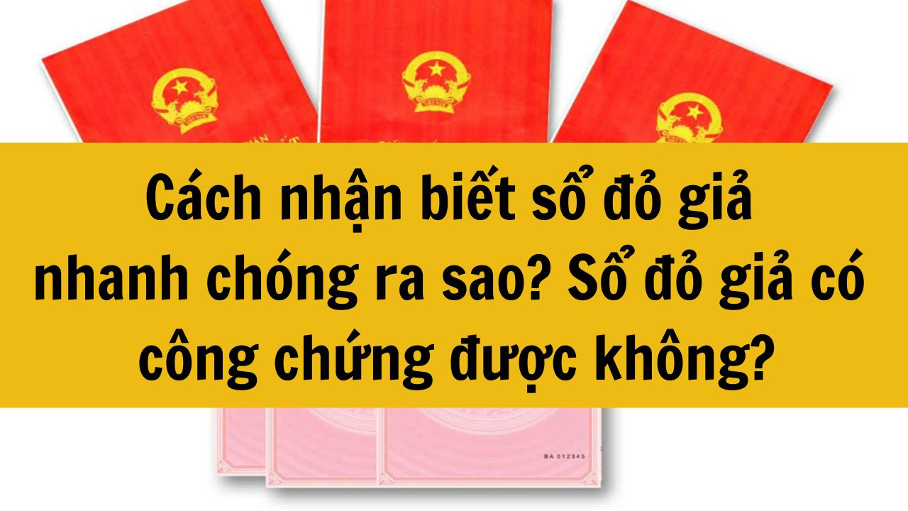 C&aacute;ch nhận biết sổ đỏ giả nhanh ch&oacute;ng ra sao? Sổ đỏ giả c&oacute; c&ocirc;ng chứng được kh&ocirc;ng?