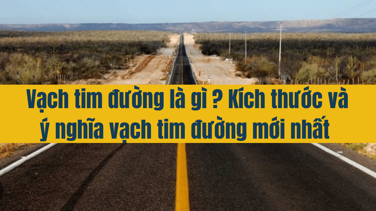 Vạch tim đường là gì? Kích thước và ý nghĩa vạch tim đường mới nhất 2025