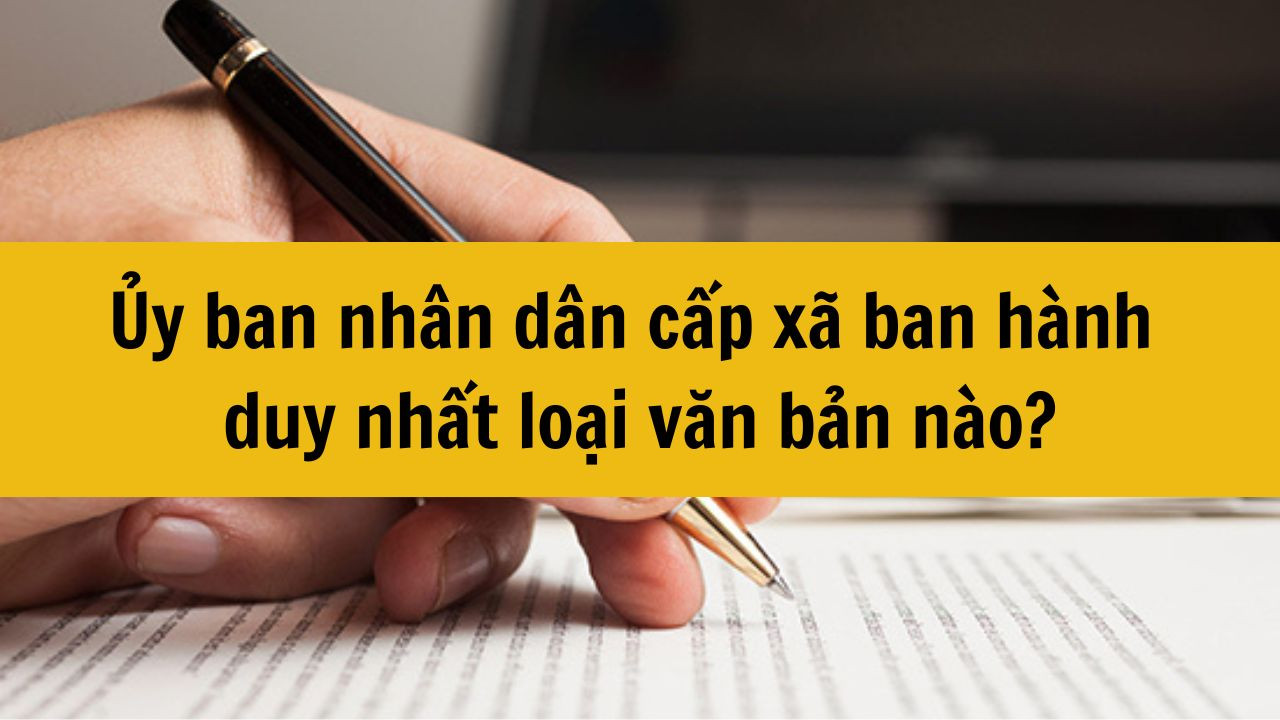 Ủy ban nh&acirc;n d&acirc;n cấp x&atilde; ban h&agrave;nh duy nhất loại văn bản n&agrave;o mới nhất 2025?
