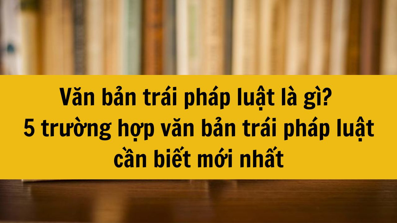 Văn bản tr&aacute;i ph&aacute;p luật l&agrave; g&igrave;? 5 trường hợp văn bản tr&aacute;i ph&aacute;p luật cần biết mới nhất 2025