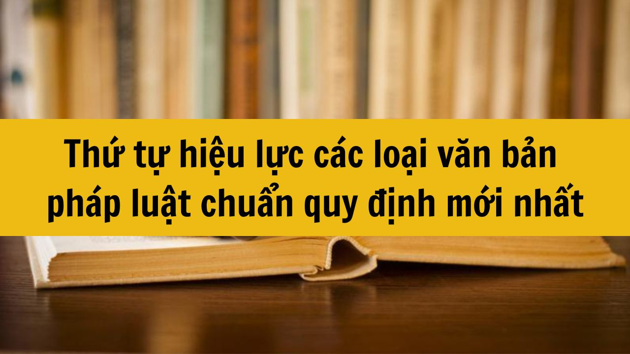 Thứ tự hiệu lực c&aacute;c loại văn bản ph&aacute;p luật chuẩn quy định mới nhất 2025